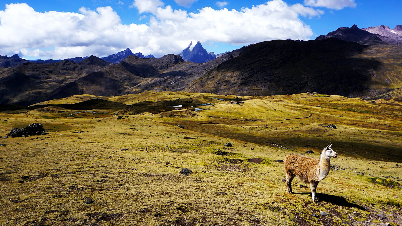 Lares trek to Machu Picchu